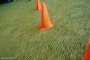 【情色奥运】晚上与足球教练来一炮  背景图片