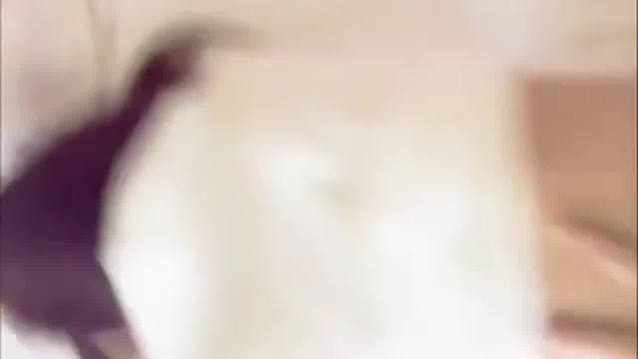  上海极品女神英语老师alyssa口交和后入跪舔版 的剧照7