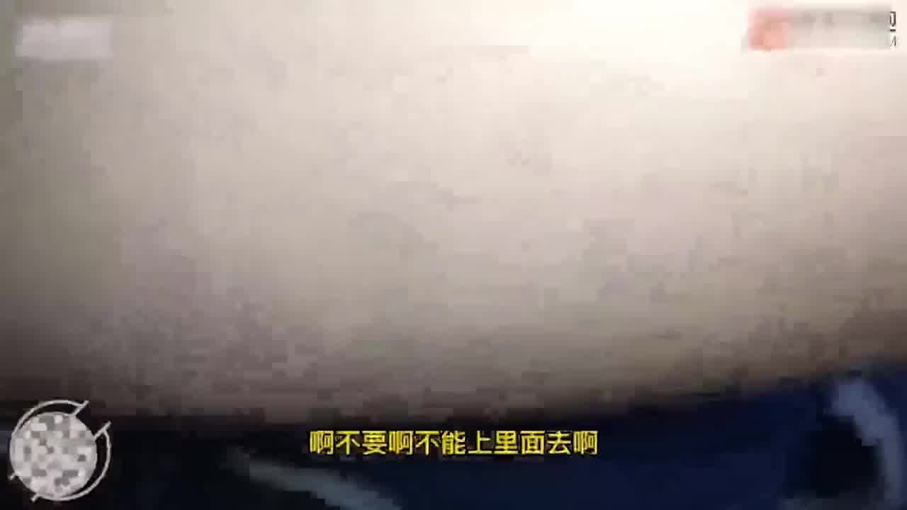  【真实乱伦】乱伦亲姐姐，姐夫出国打工亲弟乱伦姐姐半年内射姐姐，婆婆打电话忍不住叫，差点被发现。 的剧照6