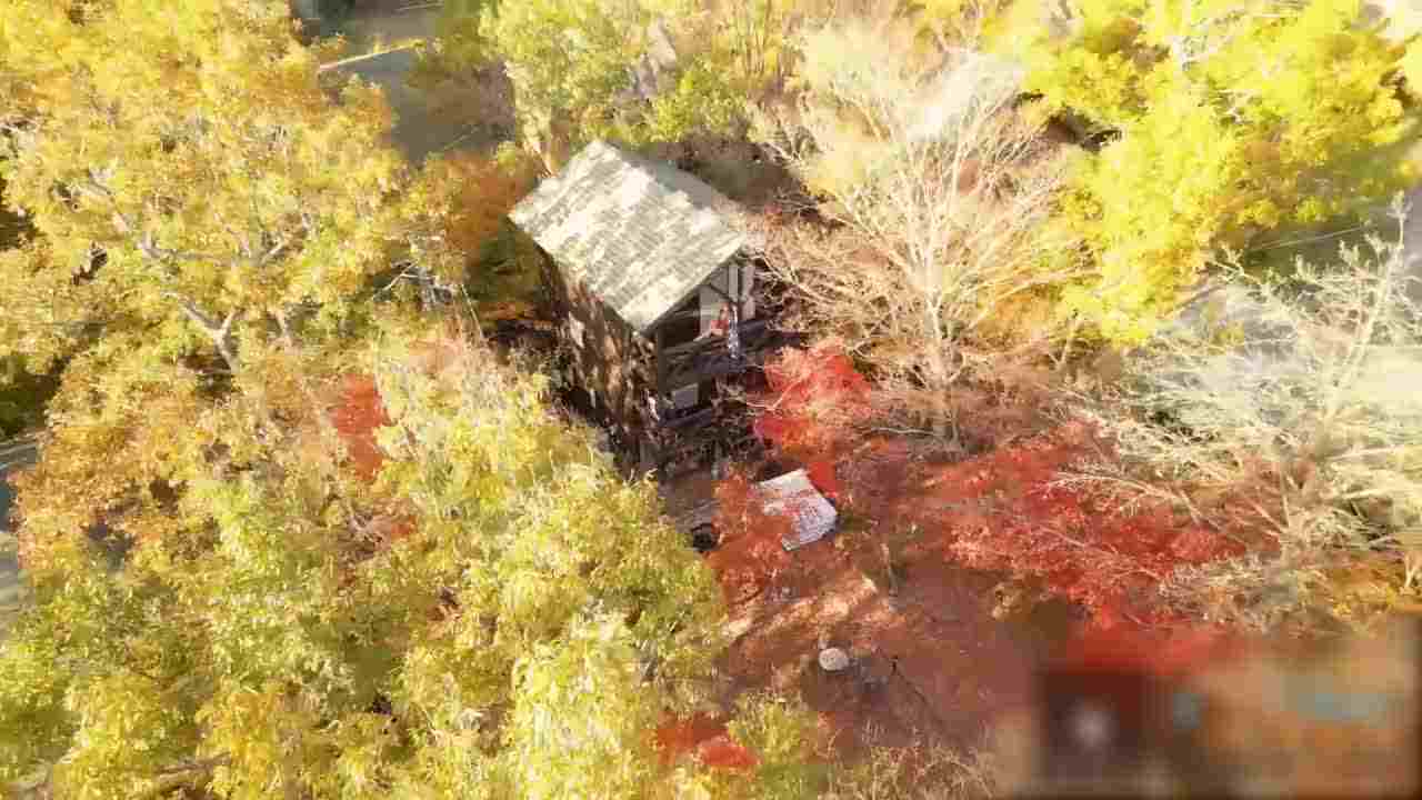  Naomi和服 丛林小木屋枫树下的甜蜜性爱 的剧照3