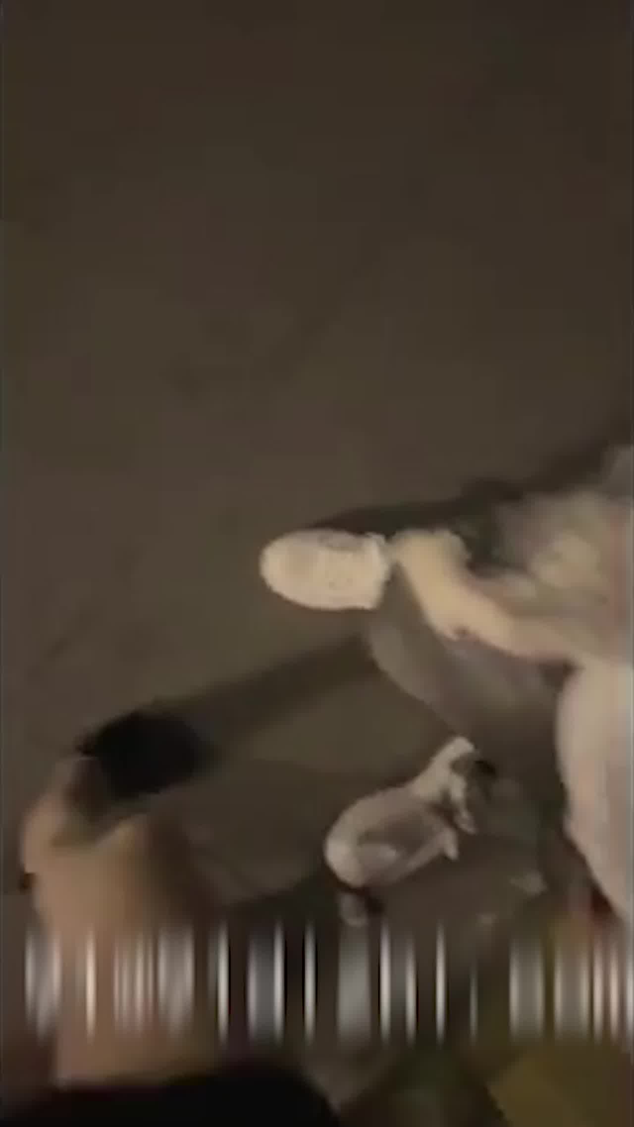  公园长凳学姐搭讪野外抚摸去公厕啪啪内射 的剧照8