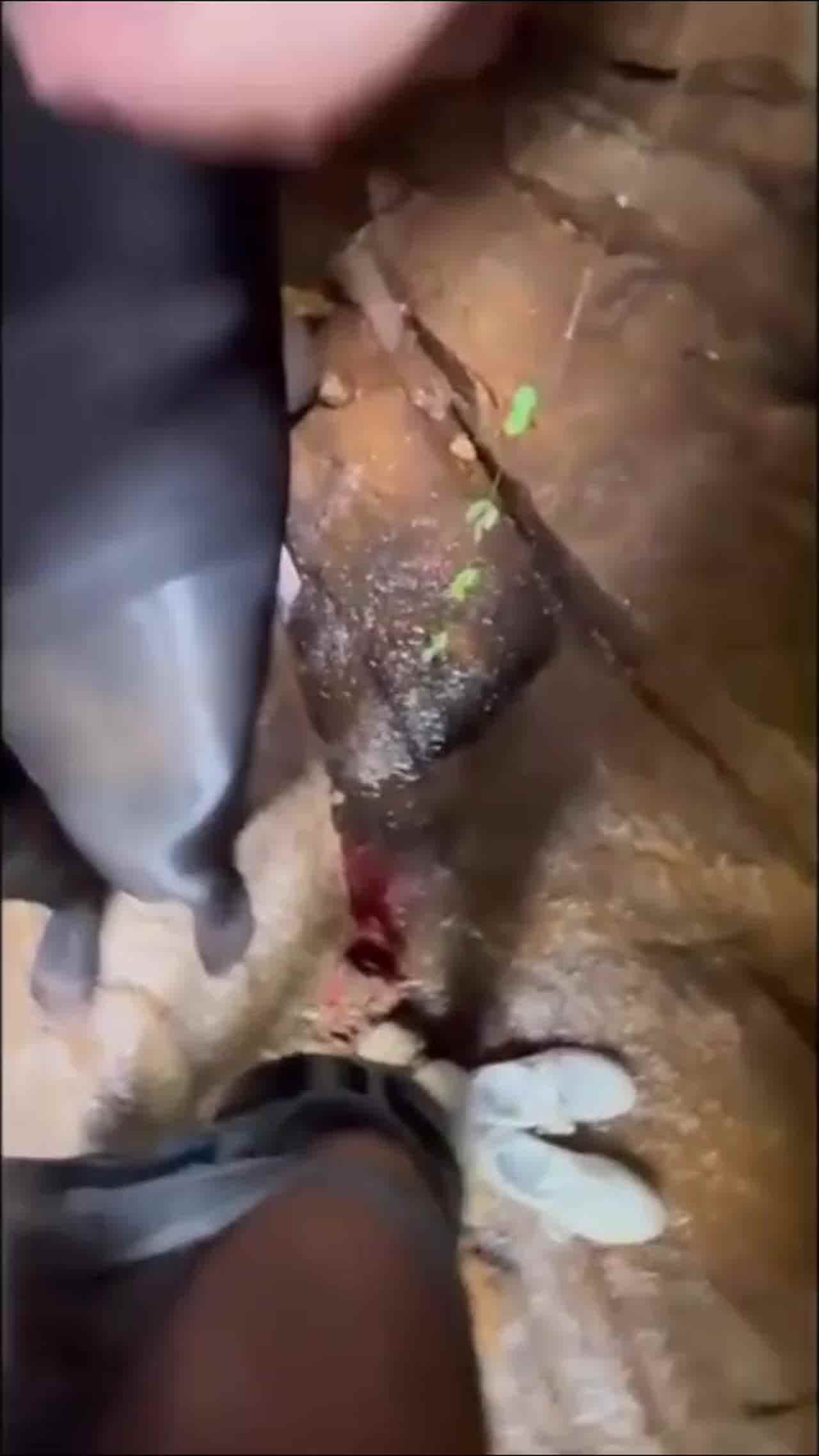  【公园找个石头挡就开始操了】穿着黑丝完美身材的漂亮姐姐，户外操了半小时才射，陆陆续续有人路过，太刺激 的剧照8